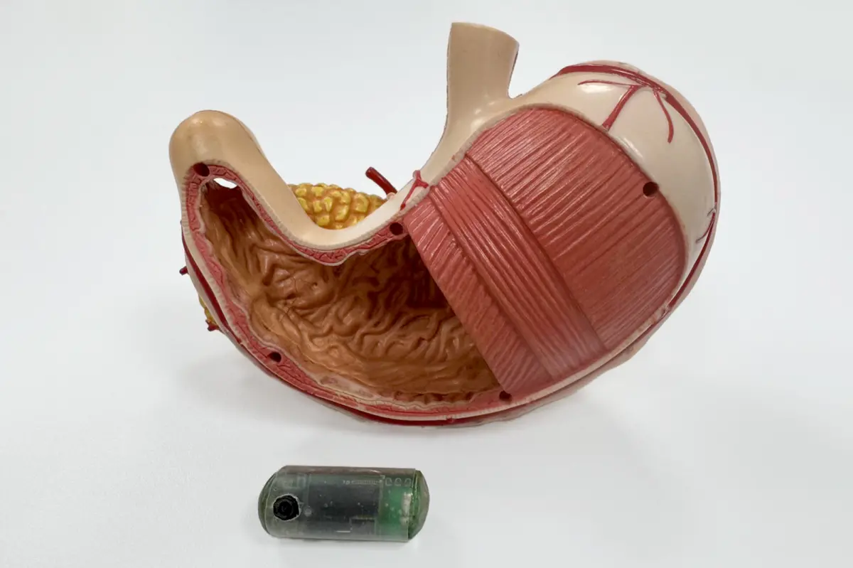 ▲無線感測口服膠囊可因應不同場域與情境需求，實現多種感測應用，包括生理訊號監測、溫度、壓力、pH值等多樣項目，為受檢者提供精準且即時的健康監測。（圖／工研院提供）