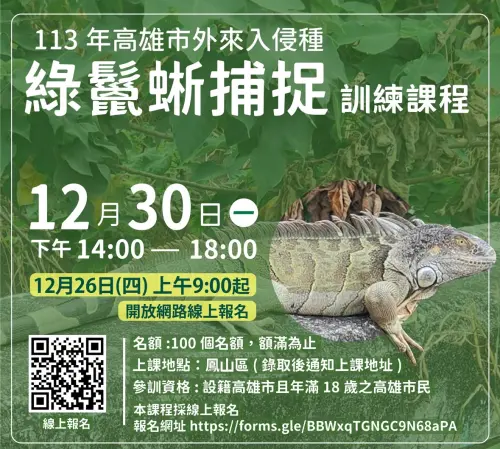 ▲(圖/高市府提供) ▲(圖/高市府提供)