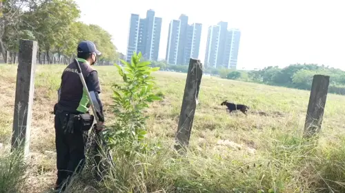 ▲台南市動保處捕犬隊人員在高鐵台南站附近執行勤務，未捕獲犬隻。（圖／記者王郁勳攝。）