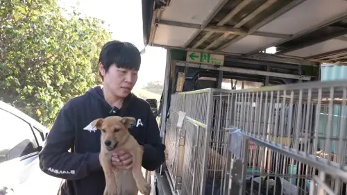 ▲相信動物協會致力於母犬捉紮，稱結紮1隻母犬可減少繁殖12隻幼犬。（圖／記者王郁勳攝。）