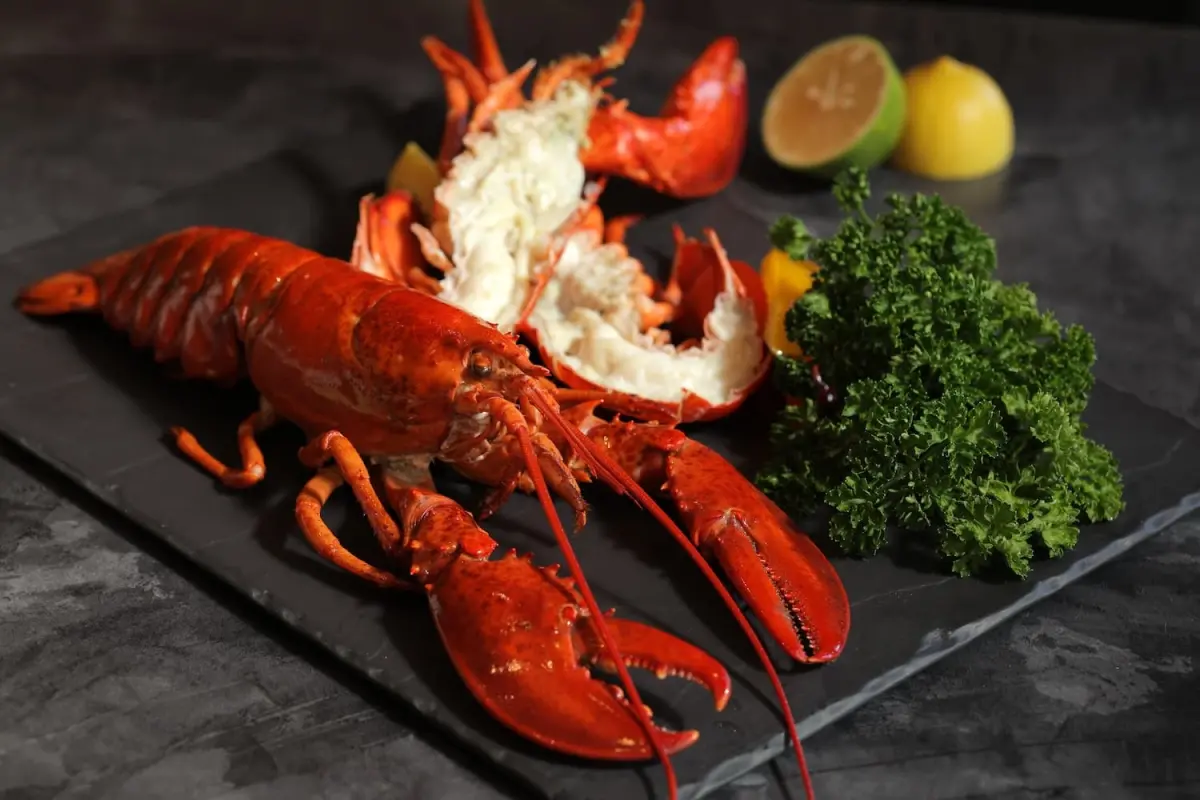 ▲ 台北大直「豐FOOD海陸百匯」的「龍蝦之夜」，也就是龍蝦吃到飽活動，目前於官網已開賣，明年的1至3月每個月只有1場，餐價為每人2199元+10%，若8人同行，優惠價1999元+10%。（圖／取自豐FOOD官網）