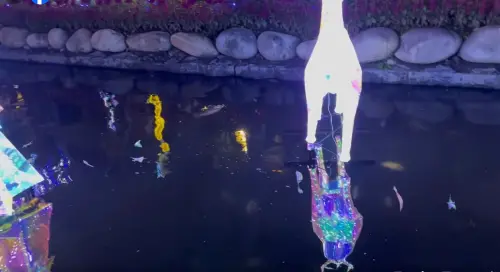 平安夜綠川魚群全翻肚!中市府:耶誕嘉年華燈飾未漏電 ▲耶誕麋鹿燈週遭的小白點都是死魚。(圖/翻攝網路,2024.12.25)