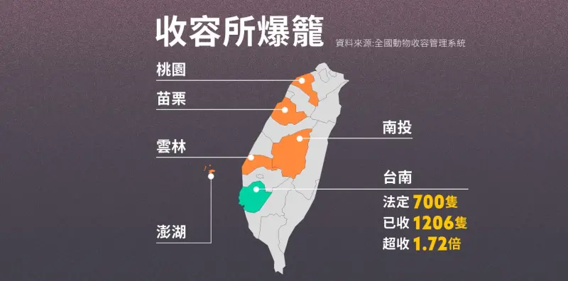 犬殺誰之過2／零撲殺浪浪「爆籠」NO1超收1.72倍　飼養天數創新高