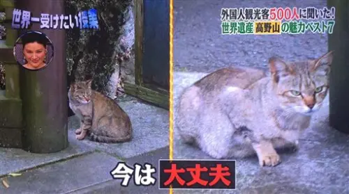 ▲（圖／翻攝自X）