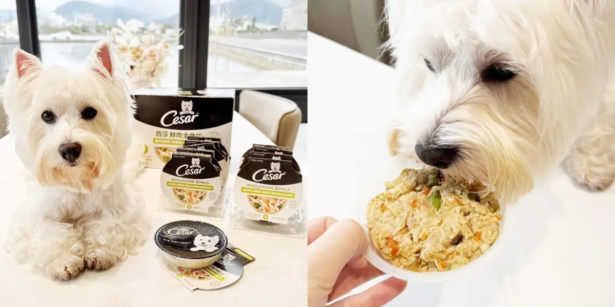 ▲西莎鮮肉主食碗，真實雞肉搭配鮮蔬，好市多獨家口味，方便即開即食，滿足狗狗需求。（圖／品牌提供）