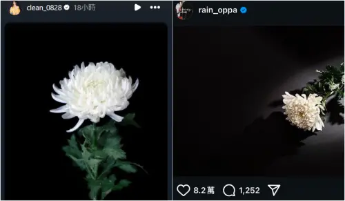 韓國空難釀179死!GD、Rain、金世正全貼「黑白菊花圖」哀悼 ▲韓國空難釀179死!GD、Rain、金世正全貼「黑白菊花圖」哀悼