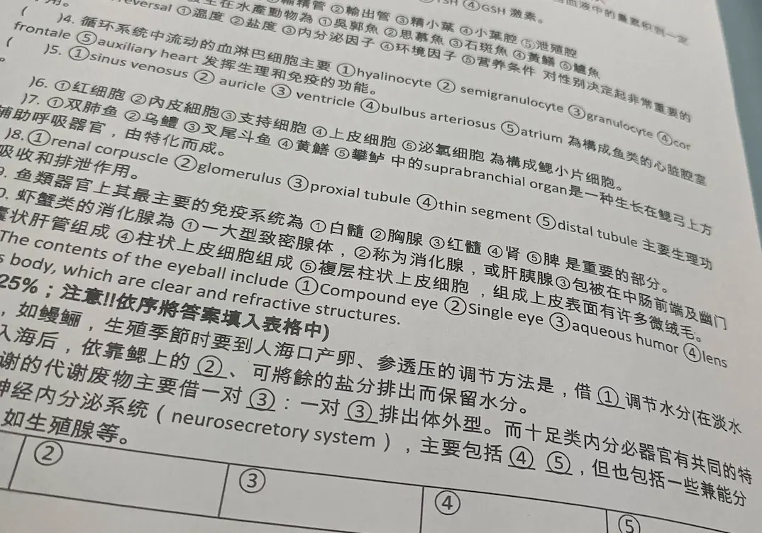 ▲國立高雄科技大學被學生曬出期末考卷整張都是簡體字，有同校英語系學生貼出翻譯教材竟也全是簡體字，連副教授名片上也印有「中國台灣省高雄市」引起熱議。校方緊急回應未來會加強檢視。（圖／翻攝自Threads）