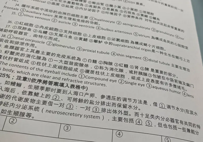 ▲國立高雄科技大學被學生曬出期末考卷整張都是簡體字，有同校英語系學生貼出翻譯教材竟也全是簡體字，連副教授名片上也印有「中國台灣省高雄市」引起熱議。校方緊急回應未來會加強檢視。（圖／翻攝自Threads）