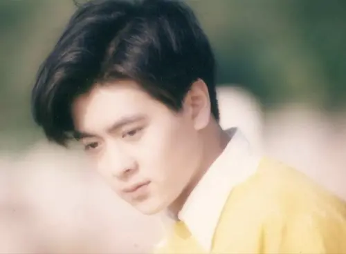 ▲林志穎年少時俊秀過人，也很快在台灣演藝圈走紅，迷倒無數少女。（圖／摘自微博）