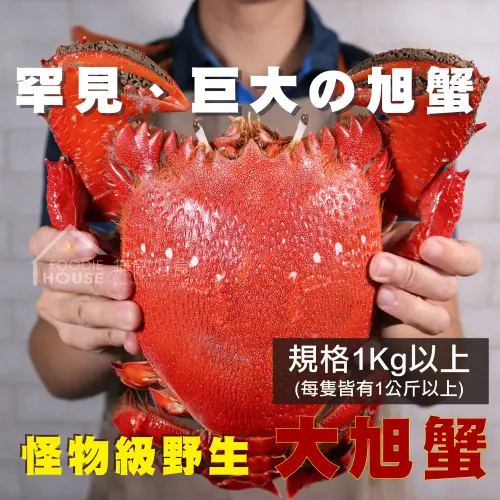 ▲「2025世貿年貨大展暨禮品贈品展」中，廠商還祭出數量極稀少的公斤級的「巨獸」，像是一公斤的旭蟹。（圖／上聯國際展覽有限公司提供）