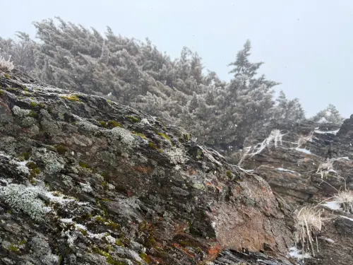 玉山連2天飄雪！持續35分鐘、今剩-1.8度　下週全台猛降溫探10度
