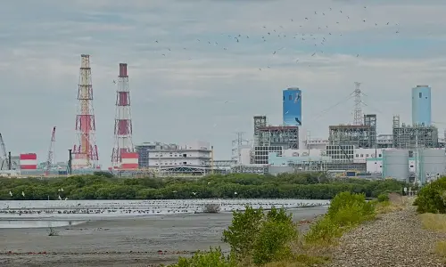 ▲台電興達電廠經營永安濕地，打造成候鳥棲息地。(圖／台電興達發電廠提供)