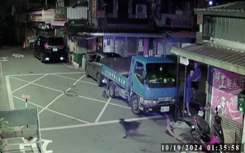 ▲瑞芳侯硐遛狗咬死浪貓，動保處裁罰飼主4萬8000元罰鍰。（圖／新北市動保處）