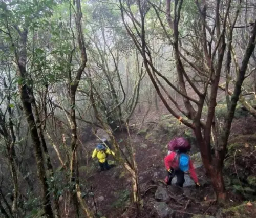 高山症發作遭隊友獨留深山　女山友駁：我沒有被丟包！
