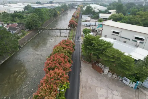 打造舒適通行環境　烏日大忠南街面層修繕完成
