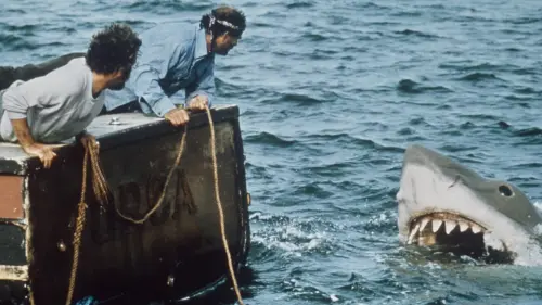 ▲《大白鯊》原是講暑假戲水的恐怖，但在台灣春節檔上映還是創下非常出色的票房。（圖／摘自IMDb）