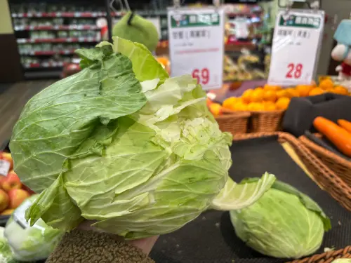 ▲高麗菜近期在零售市場出現每斤不到20元低價,全聯一顆69元,價格愈來愈便宜。(圖/記者徐銘穗攝) ▲高麗菜近期在零售市場出現每斤不到20元低價,全聯一顆69元,價格愈來愈便宜。(圖/記者徐銘穗攝)