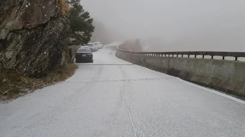 ▲強烈大陸冷氣團發威，搭配水氣，今天清晨合歡山下雪了。（圖／林業署南投分署提供）