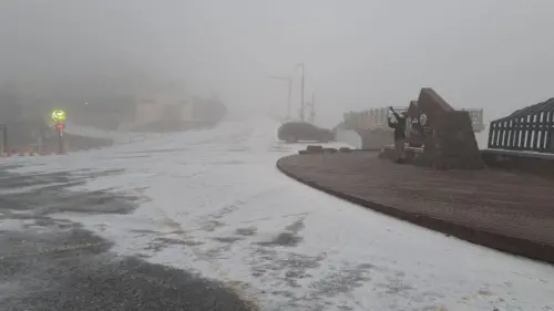 合歡山今天清晨3點多開始出現冰霰,不久後也開始降雪,上午6時30分結束,積雪達0.5公分。(圖/林業署南投分署提供) ▲合歡山今天清晨3點多開始出現冰霰,不久後也開始降雪,上午6時30分結束,積雪達0.5公分。(圖/林業署南投分署提供)