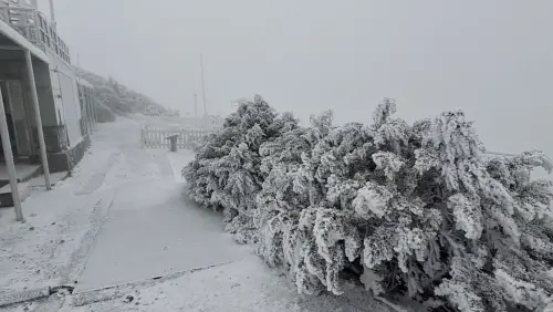 ▲白雪覆蓋玉山氣象站屋頂、地面、植物，畫面相當美麗。（圖／中央氣象署提供）