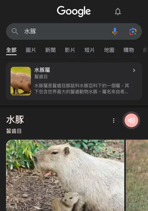 ▲除了貓、狗之外，多數動物如水豚君則只有聲音互動。（圖／翻攝Google）
