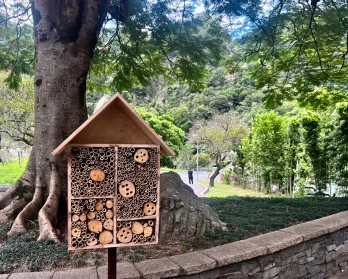 ▲為推廣責任式旅遊，太魯閣晶英酒店向太魯閣國家公園布洛灣管理站學習「獨居蜂旅館，的製作理念和方法，並融入飯店活動中。（圖／太魯閣晶英提供）