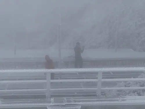 玉山積雪厚達3公分!絕美雪花狂飄135分鐘 -5.3°C雪白仙境曝光