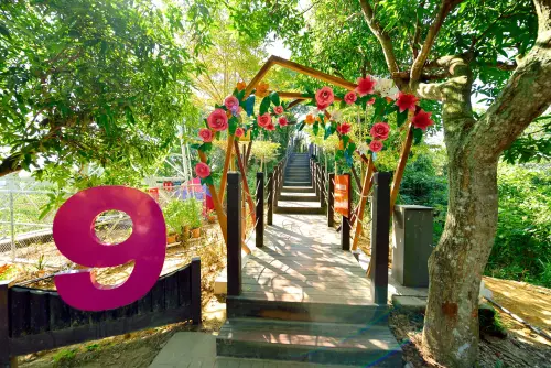 ▲大坑9號步道出入口環境步道特色優化(圖／觀旅局提供2025.1.11)