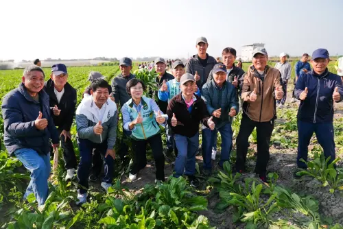 前進美濃拔蘿蔔與民眾搏感情 鄉親力挺林岱樺展現高人氣