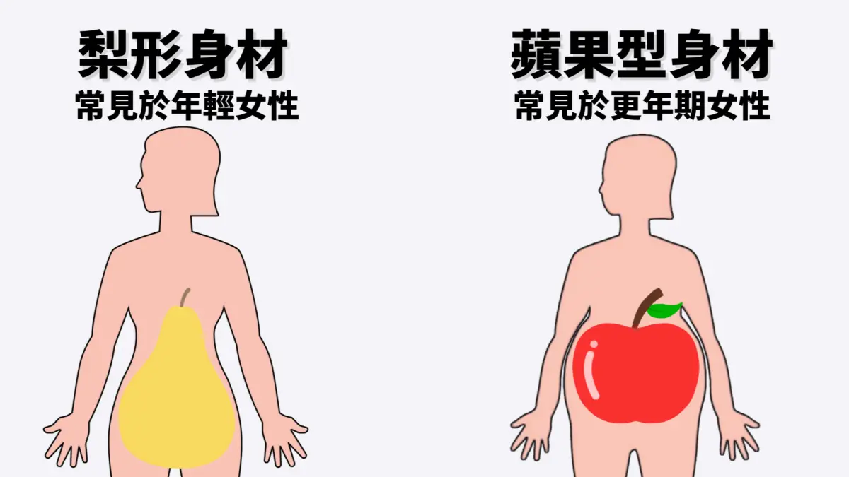 ▲更年期女性若維持年輕時的梨形身材，要注意肝臟代謝功能恐有異常。（圖／初日診所提供） 
