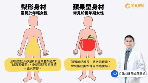 ▲更年期女性若維持年輕時的梨形身材，要注意肝臟代謝功能恐有異常。（圖／初日診所提供） 