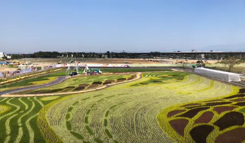 稻田彩稻起初雛形,以整體伏流水的意象,表現屏東之肥沃土地提供生命之手 ▲稻田彩稻起初雛形,以整體伏流水的意象,表現屏東之肥沃土地提供生命之手。(圖/屏東縣府提供)