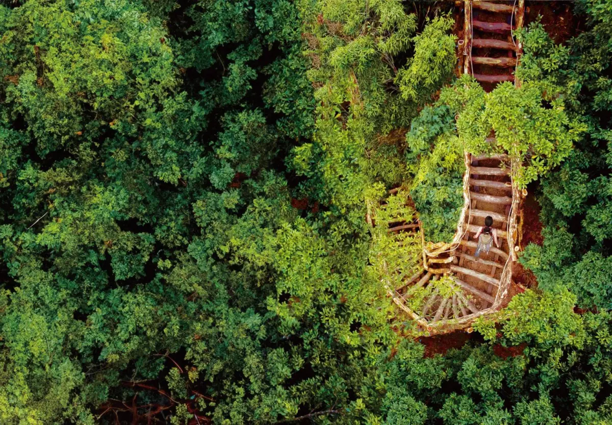 ▲大坑登山步道適合全家大小一起走春，順遊溫泉(圖／觀旅局提供2025.1.14)
