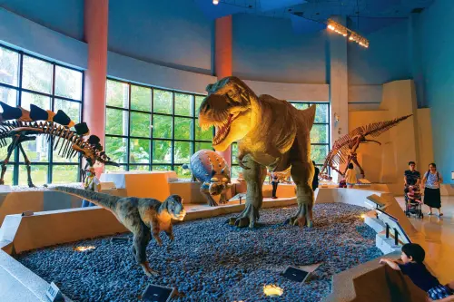 農曆新年旅遊季 中市府邀您探索魅力景點 ▲國立自然科學博物館(圖/觀旅局提供2025.1.14)