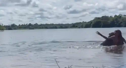 ▲野生水豚君不斷朝女子頭部攻擊。（圖／翻攝TikTok@franjul77_ ）