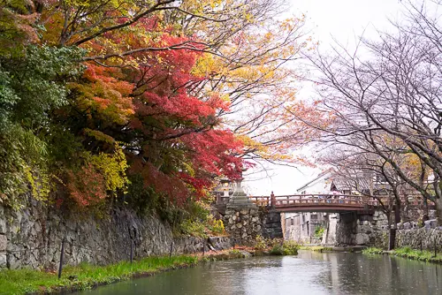 日本滋賀縣秋冬秘境激推！千年歷史與自然之美　旅遊攻略大公開
