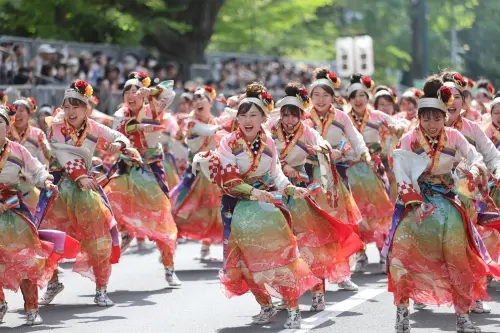 雄獅旅遊也獨家推出北海道索朗祭遊程。(圖/YOSAKOIソーラン祭り組織委) ▲雄獅旅遊也獨家推出北海道索朗祭遊程。(圖/YOSAKOIソーラン祭り組織委員会提供)