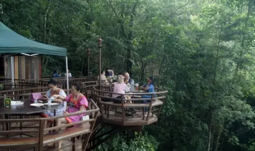 ▲泰國北方古城清邁步調悠閒，許多韓國人也很喜歡去清邁。（圖／KKday）