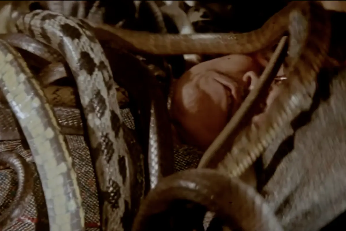 ▲台灣影壇在1982年就拍出畫面極為駭人的《人蛇大戰》，用了上千條真蛇，演員真的被蛇纏住，沒有太多電腦特效幫助，連好萊塢的蛇電影都望塵莫及。（圖／摘自YouTube）