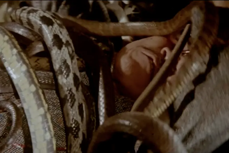 ▲台灣影壇在1982年就拍出畫面極為駭人的《人蛇大戰》，用了上千條真蛇，演員真的被蛇纏住，沒有太多電腦特效幫助，連好萊塢的蛇電影都望塵莫及。（圖／摘自YouTube）