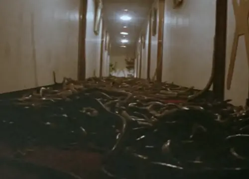 ▲《人蛇大戰》用了上千條蛇來拍攝,場面嚇人,也是台灣影史上相當特別、今日很難拍得出來的一部影片。(圖/摘自YouTube) ▲《人蛇大戰》用了上千條蛇來拍攝,場面嚇人,也是台灣影史上相當特別、今日很難拍得出來的一部影片。(圖/摘自YouTube)