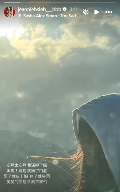 ▲謝金燕「兒子生父」近日又被當焦點，她今日清晨再吐發限時動吐心聲。（圖／謝金燕IG）