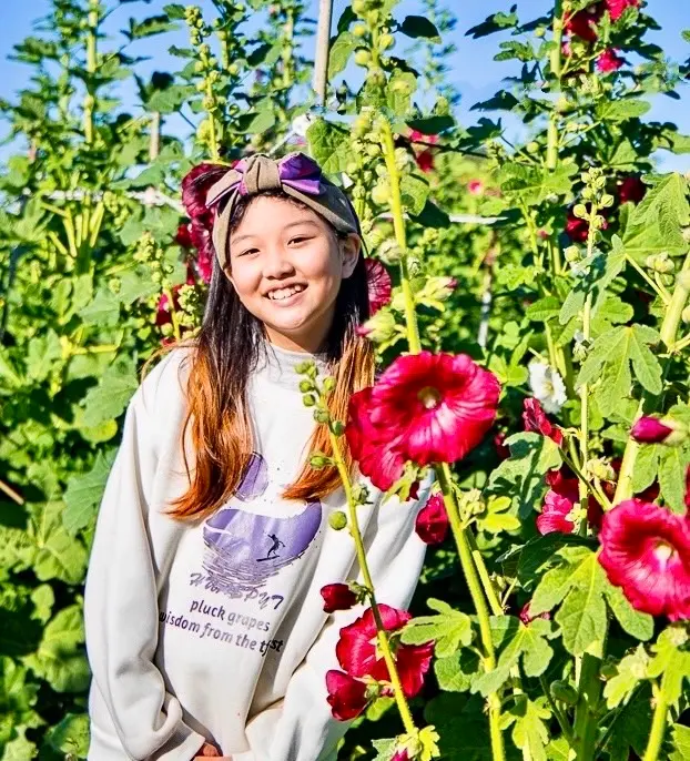 又逢蜀葵花季，彰化田中窯萬株蜀葵花怒放，春節連假走春賞花好去處。（圖／業者提供）