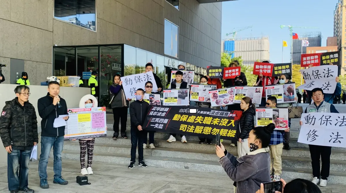 ▲動保團體在台中市政府前舉布條，抗議市府處理虐貓案態度消極。（圖／記者顏幸如攝，2025.01.17）