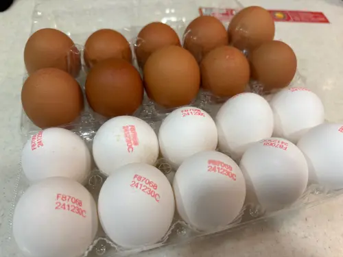 ▲全聯雞蛋最便宜跟最貴的到底差在哪裡？記者購買全聯10入雞蛋，43元最便宜的富翁洗選蛋，及126元最貴的木崗高品質紅蛋實測。（圖／記者徐銘穗攝）