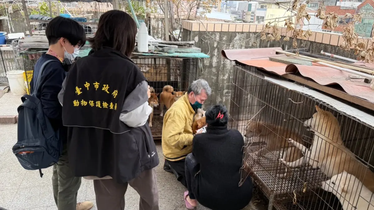 ▲動保處人員忙著清點頂樓的名犬數量。（圖／台中市政府提供，2025.01.18）