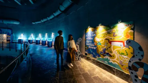 ▲「我的鰻朋友」主題活動將於1月18日至3月3日登場。(圖/屏東海生館提供) ▲「我的鰻朋友」主題活動將於1月18日至3月3日登場。(圖/屏東海生館提供)