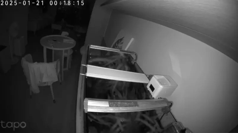 ▲嘉南地震！今（21）日嘉南地區發生有感地震，對此居住在高雄的旅遊網紅阿樂（樂冠廷）曬出自家監視器驚悚一瞬間，嘆喊：「入住不到半年，什麼都遇到了。」（圖／IG ygt1016）