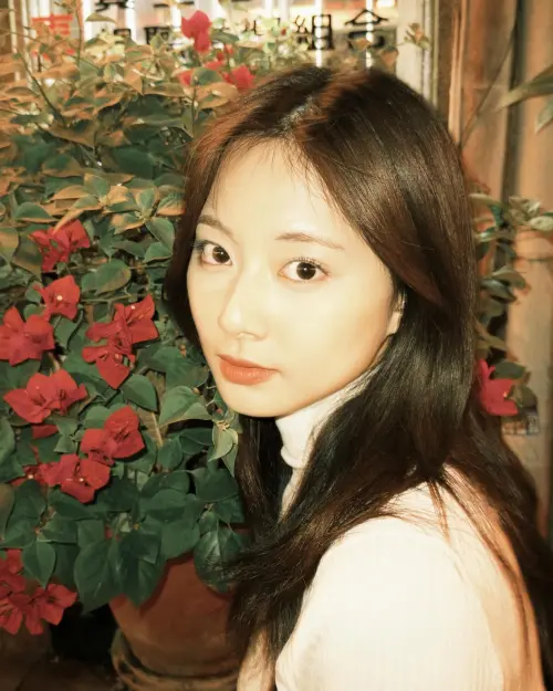 ▲▼嘉義半夜發生規模6.4地震,全台20個縣市有感,子瑜焦急發訊息關心。(圖/周子瑜IG) ▲▼嘉義半夜發生規模6.4地震,全台20個縣市有感,子瑜焦急發訊息關心。(圖/周子瑜IG)