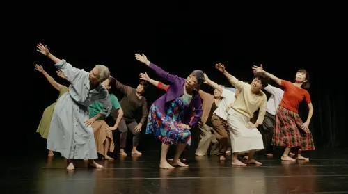 擺脫失控的焦慮世代!「雲門教室」年度呈現:喚醒身體真實感知 ▲超過60歲以上的熟齡長者們,揮舞著自信的雙手與穩定的步伐,透過舞蹈展現專注與自信。(圖/雲門舞集提供)